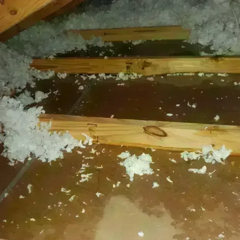 Attic Water Damage in Yosemite Valley, CA