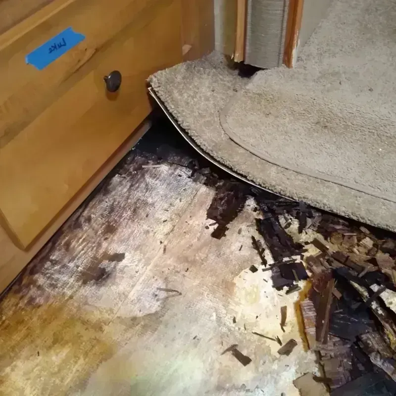 Wood Floor Water Damage in Yosemite Valley, CA